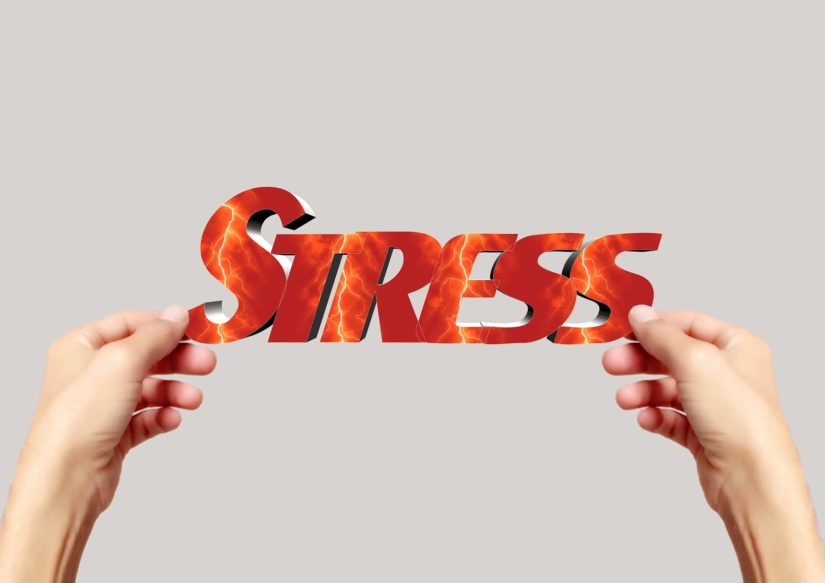 Tips for a Healthy Life and Relieving Stress for the Entrepreneur